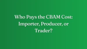 Who Pays the CBAM Cost Importer Producer or Trader